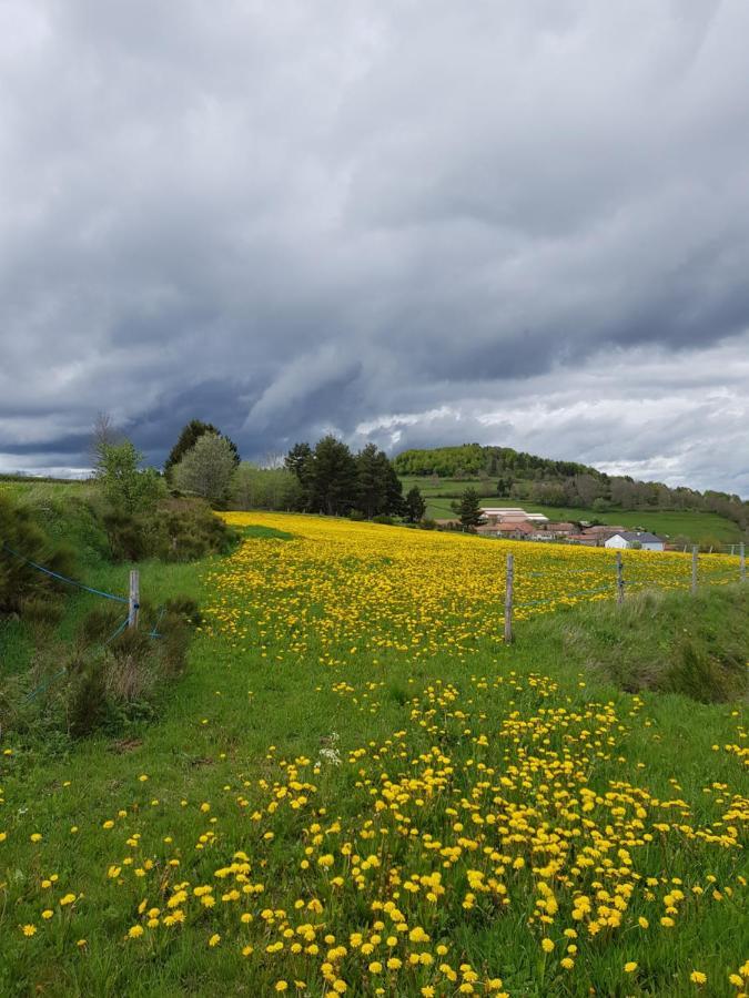 La Varenne Bed and Breakfast Lachapelle-Graillouze Esterno foto